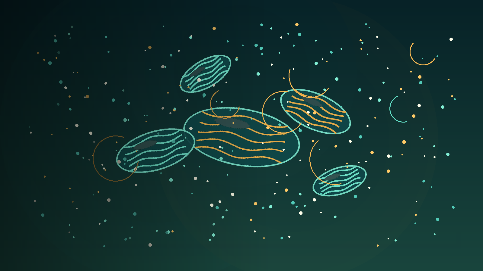 Dunkles Mitochondrien-Bild für Über uns